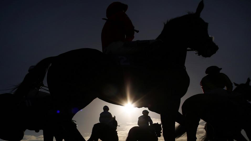 Horse silhouette